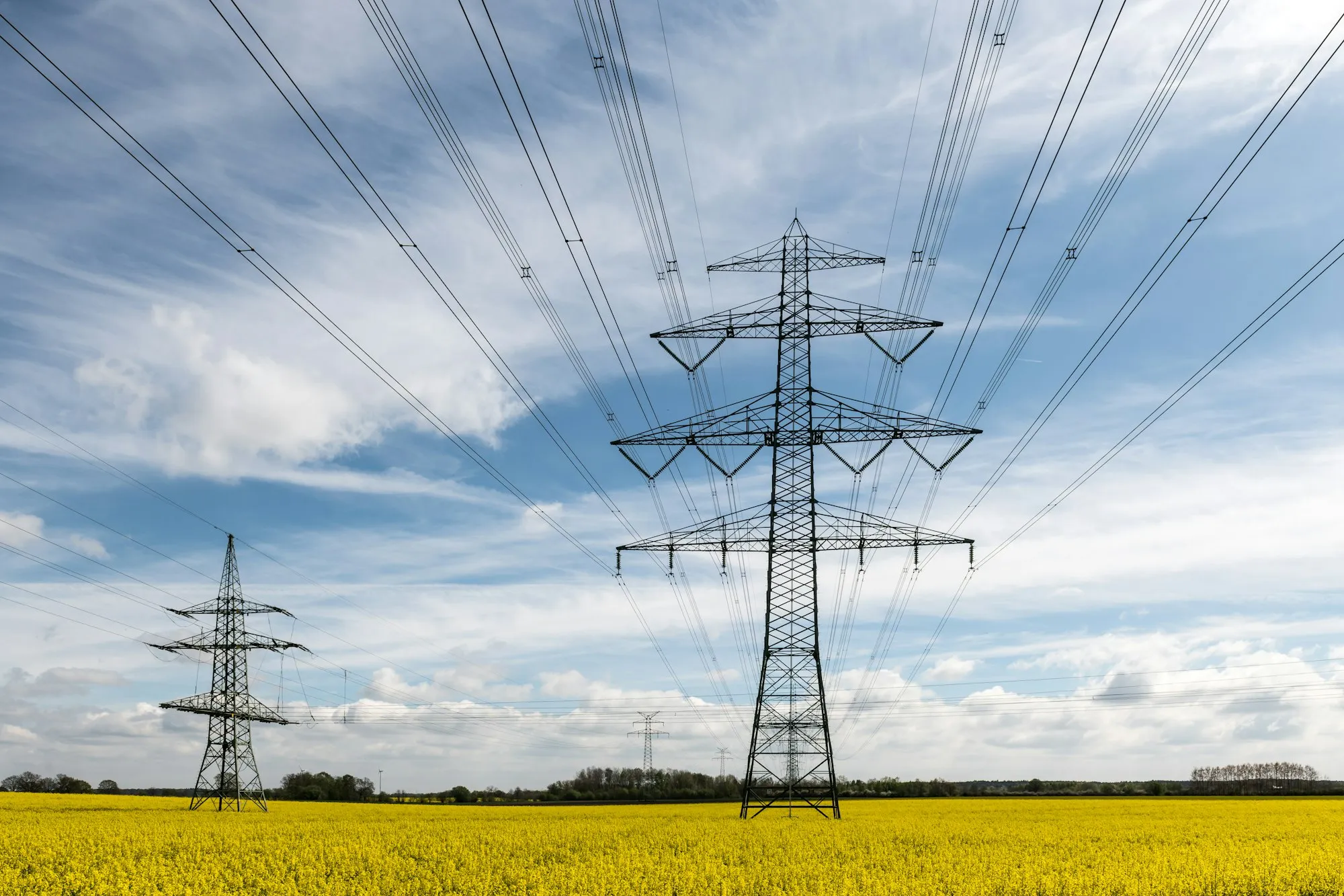 Transmission lines crossing a rapeseed field under a blue sky